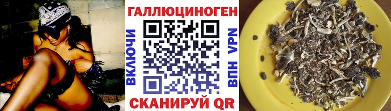 Псилоцибиновые грибы Cubensis  продажа наркотиков  МЕГА вход  Карачев 